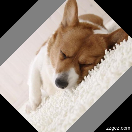 Image Token: JCsIbexGpo0YUUxKaBOclH3dnPe