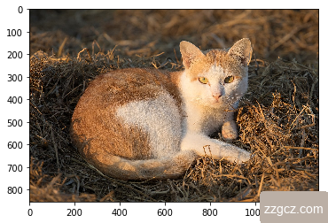 No description has been provided for this image