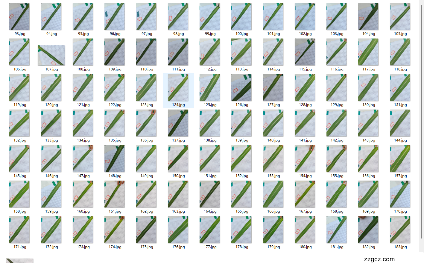 Image Token: S96KbgeInodQhsxBc6xc0F29nQf